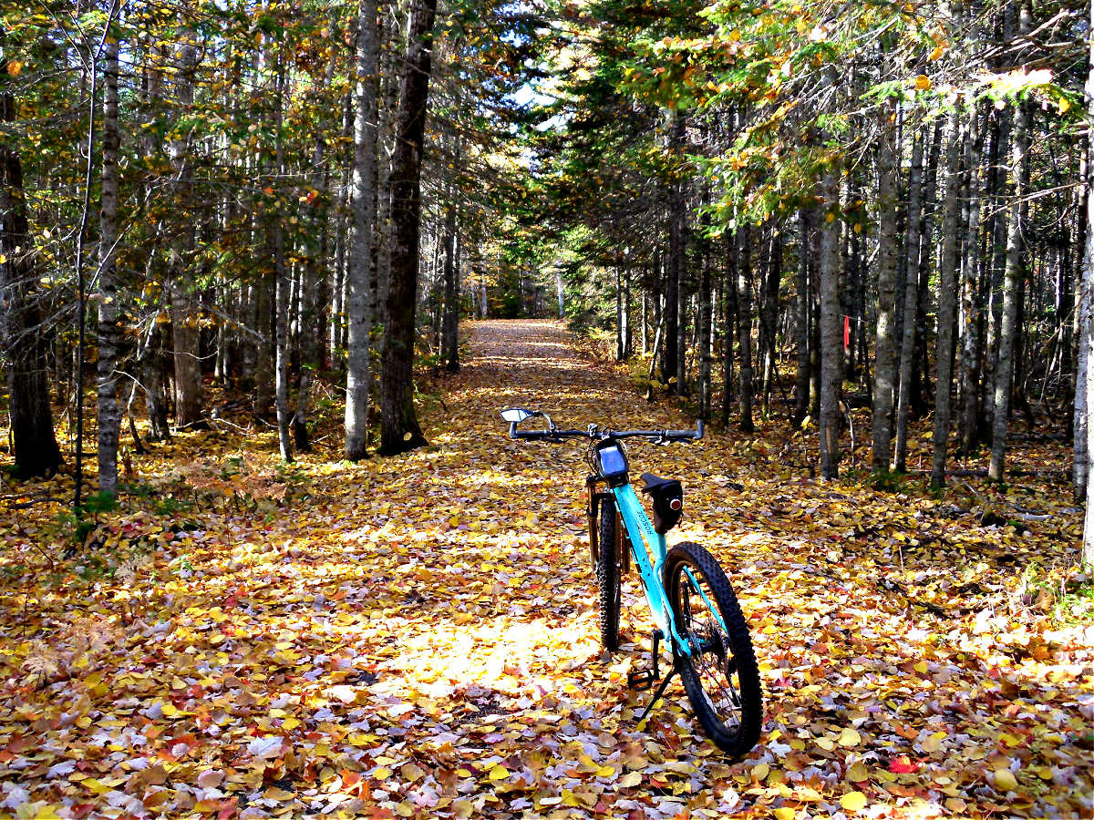 Name:  MTB 1.jpg
Views: 3273
Size:  387.1 KB