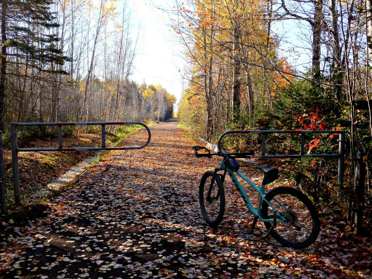 Name:  MTB 2.jpg
Views: 3146
Size:  431.1 KB