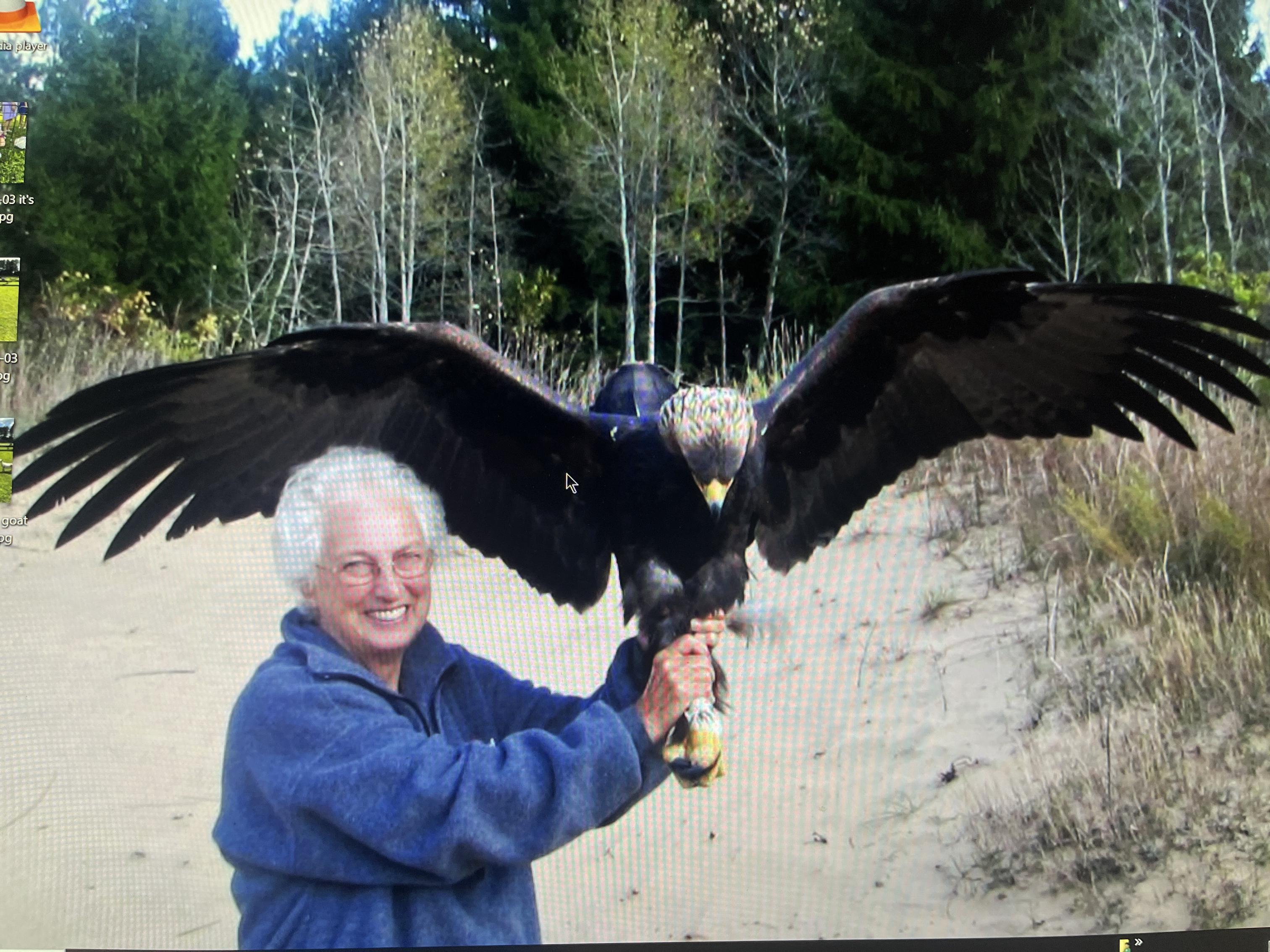Name:  MOMBIRD.jpg
Views: 480
Size:  767.9 KB