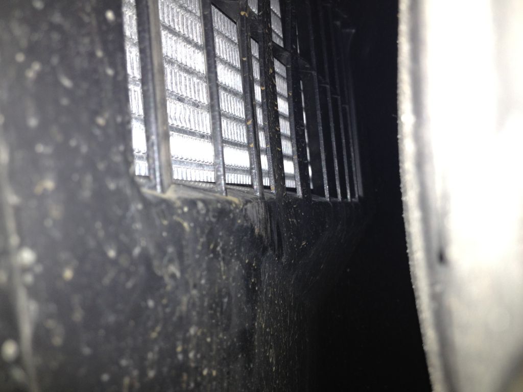 Name:  FenderLiner2.jpg
Views: 3149
Size:  86.8 KB