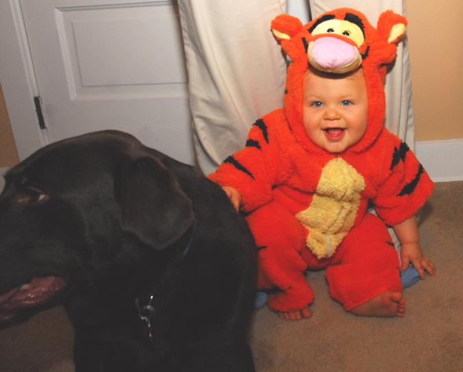 Name:  tigger.JPG
Views: 852
Size:  57.7 KB