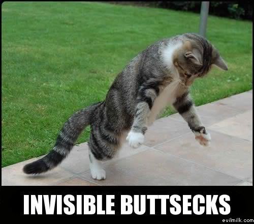 Name:  Invisible_buttsecks.jpg
Views: 23343
Size:  35.0 KB