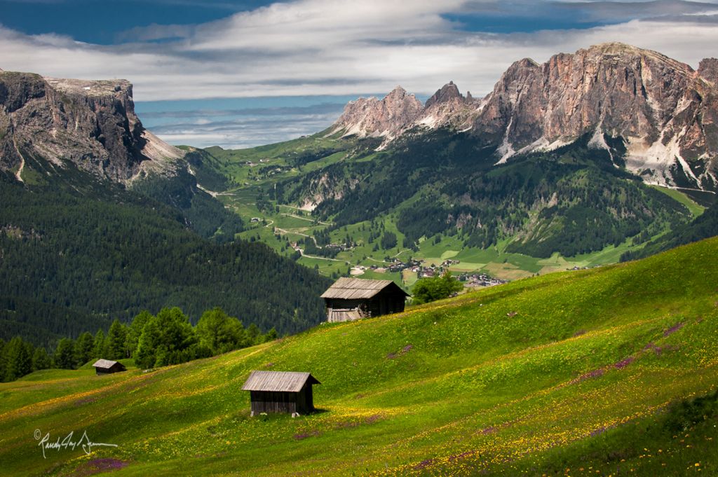 Name:  Dolomites_Meadows.jpg
Views: 701
Size:  198.2 KB