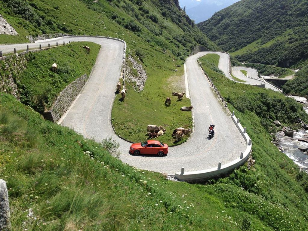 Name:  Stelvio_2013_4.jpg
Views: 3384
Size:  210.5 KB