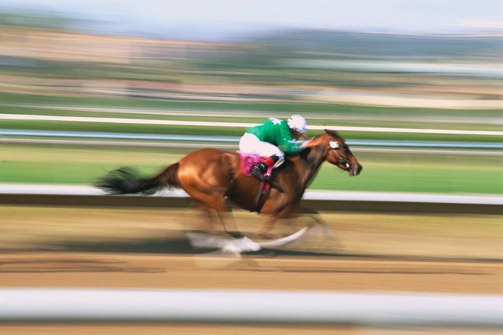 Name:  RaceHorse.jpg
Views: 690
Size:  75.3 KB