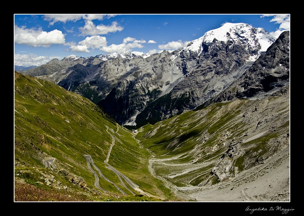 Name:  Stelvio 13695060.jpg
Views: 1525
Size:  262.6 KB