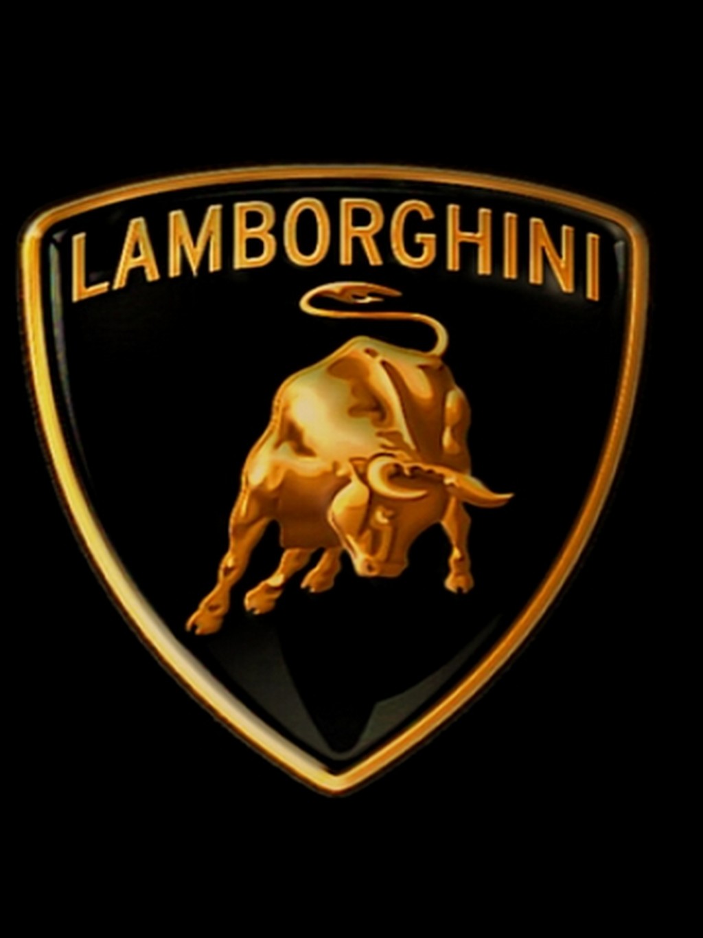 Name:  Lamborghini-Bull.jpg
Views: 13371
Size:  95.3 KB