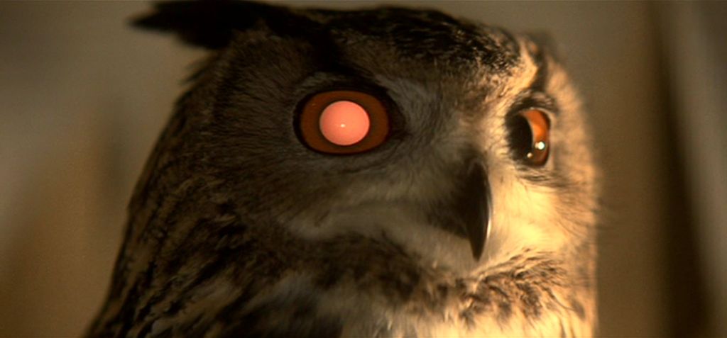 Name:  BladeRunner_Owl.jpg
Views: 585
Size:  44.8 KB