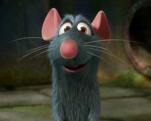 Name:  Ratatouille.jpg
Views: 989
Size:  10.1 KB