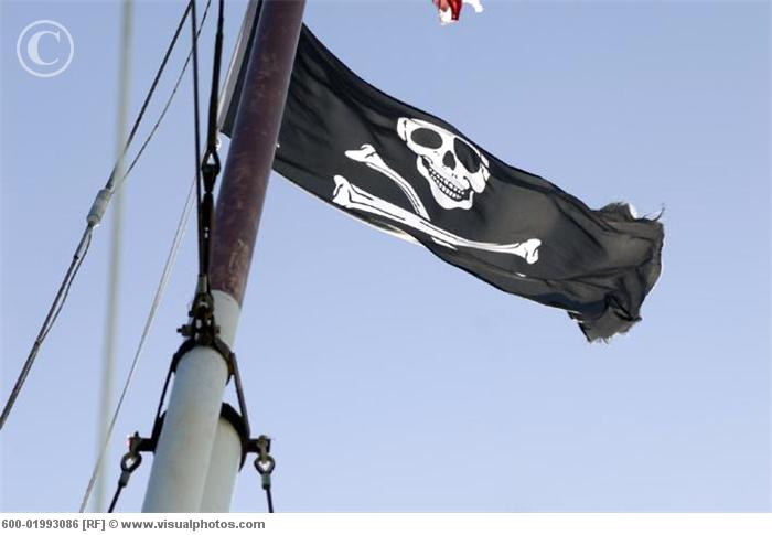 Name:  PirateFlag.jpg
Views: 684
Size:  29.7 KB