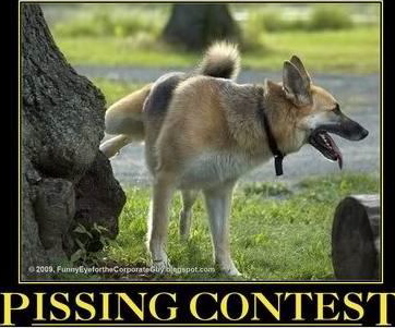 Name:  pissing contest.jpg
Views: 395
Size:  74.4 KB